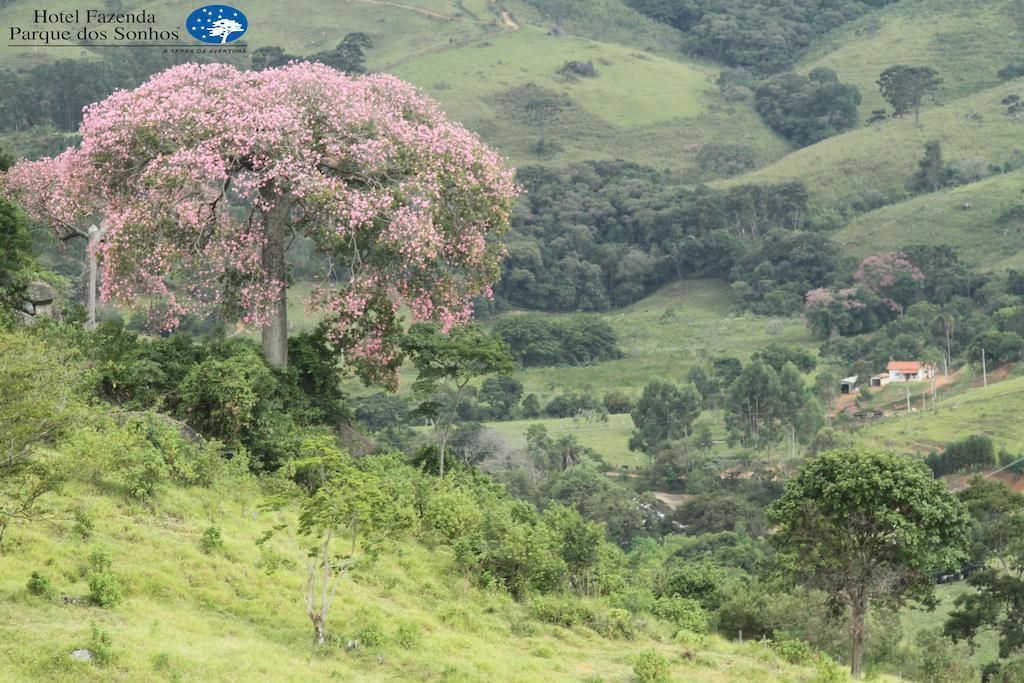 Hotel Fazenda Parque Dos Sonhos Сокорру Екстер'єр фото