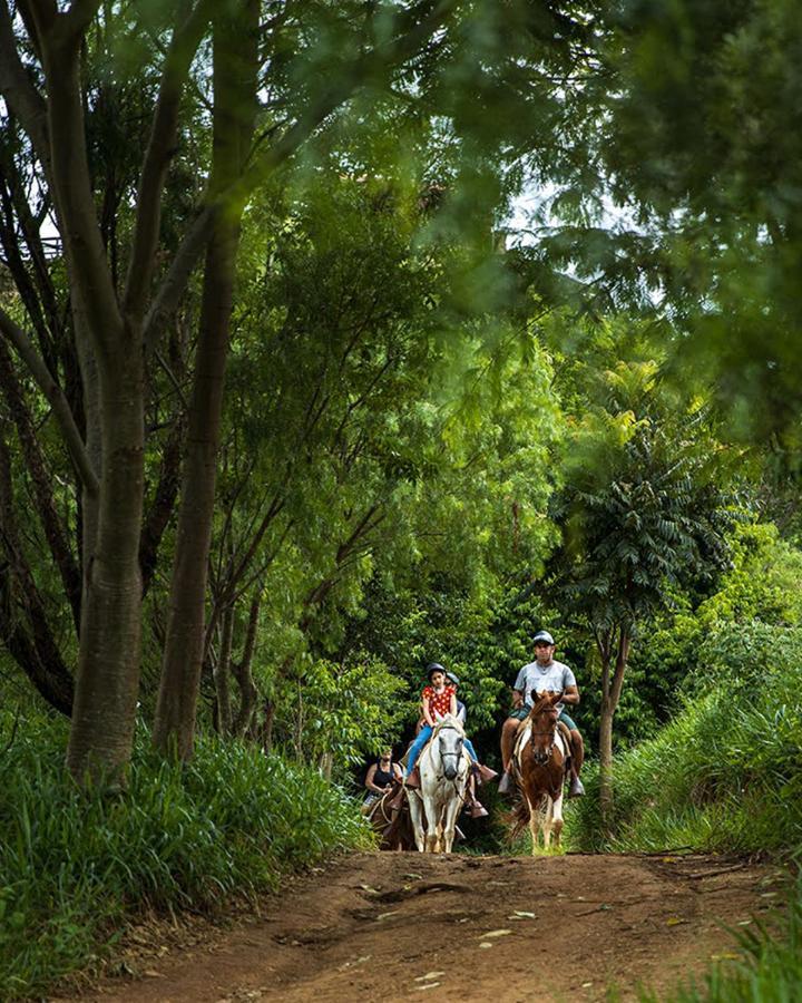 Hotel Fazenda Parque Dos Sonhos Сокорру Екстер'єр фото